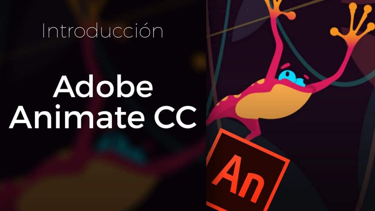 Adobe animate CC