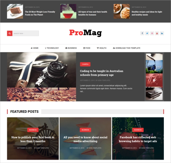 Blogger-Template-ProMag