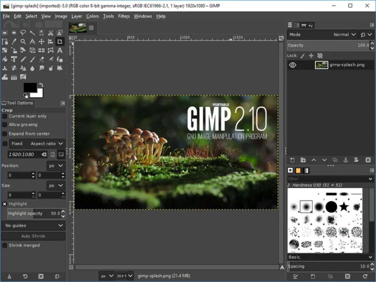 Cómo hacer un gif en GIMP paso a paso
